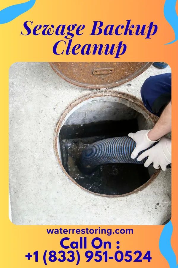 Sewage Backup Cleanup in Breckenridge Hills, MO